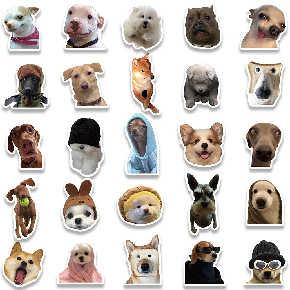 Cat Dog stickers