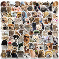 Cat Dog stickers